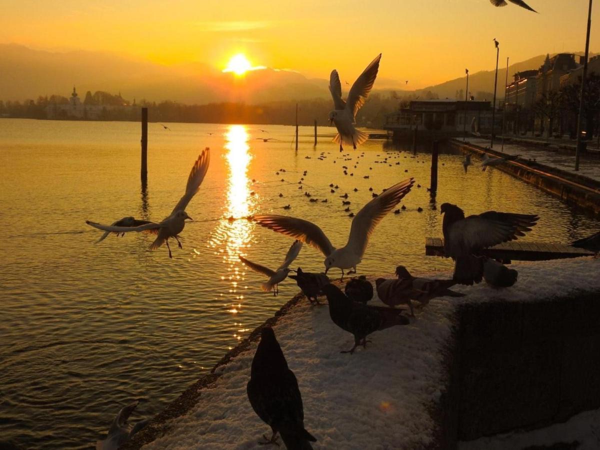 Ferienhaeuschen Am Traunsee Mit Tretboot Zur Freien Nutzung Am Badeplatz Altmuenster Exterior photo